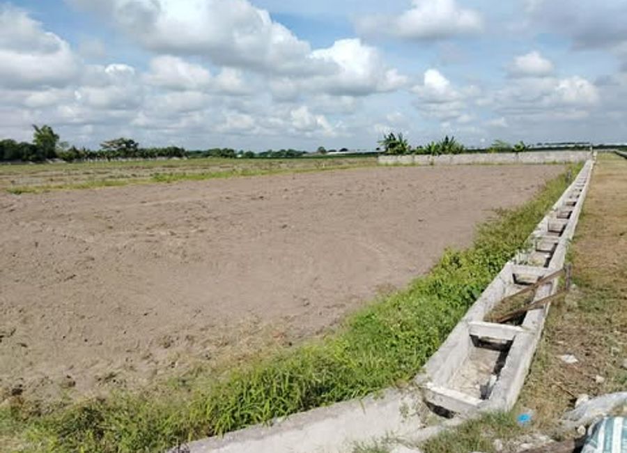 Farm Lots For Sale with TCT in La Paz, Magalang, Pampanga