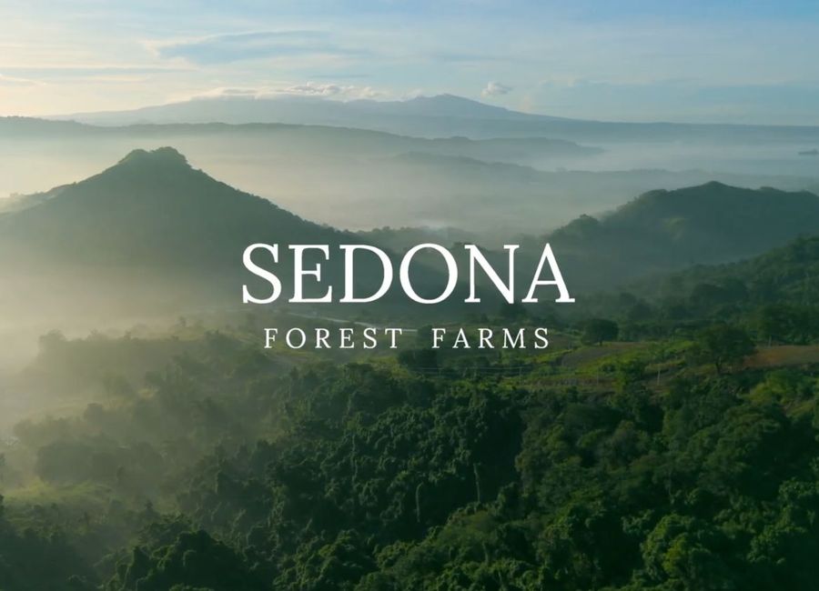 Lots for Sale in Sedona Forest Farms Subic Zambales
