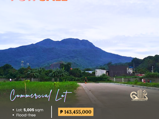 For Sale: Commercial Lot located at Centro Verde Calamba, Laguna