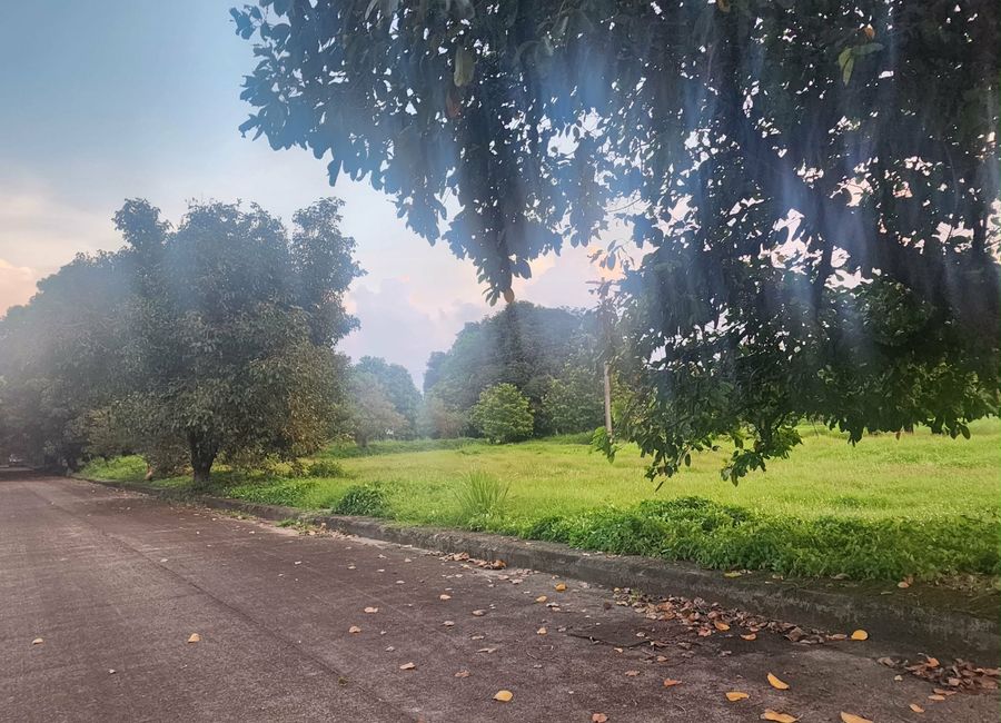 Residential Lot for SALE in Hacienda Royale City of San Fernando Pampanga near SM Telebastagan...