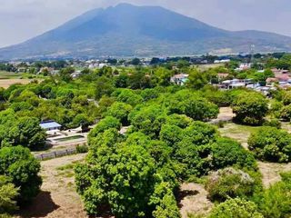 𝐌𝐀𝐍𝐆𝐎 𝐅𝐀𝐑𝐌 𝐋𝐎𝐓 𝐅𝐎𝐑 𝐒𝐀𝐋𝐄 in Paralaya Arayat Pampanga