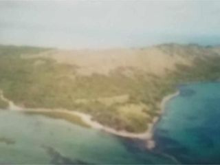 Vacant Lot 243 hectares Flat area for Sale in Bagac Bataan