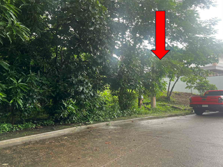 Vacant Lot for Sale at Palos Verdes Executive Village, Antipolo City