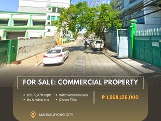 For Sale: Commercial Property in MANDALUYONG CITY