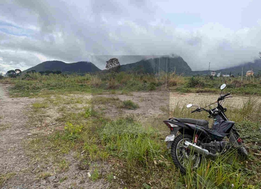 1,696 sqm Lot for Sale Along Campuestuhan Road Brgy Cabatangan Talisay City