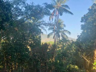 Repriced! Beautiful Raw Farmlot in Lipa Near Seventh Heaven & The Farm at San Benito