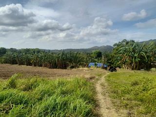 FARMLOT IN LIPA BATANGAS