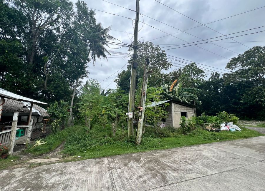 SEMI-COMMERCIAL LOT FOR SALE IN DAUIN ID 15063