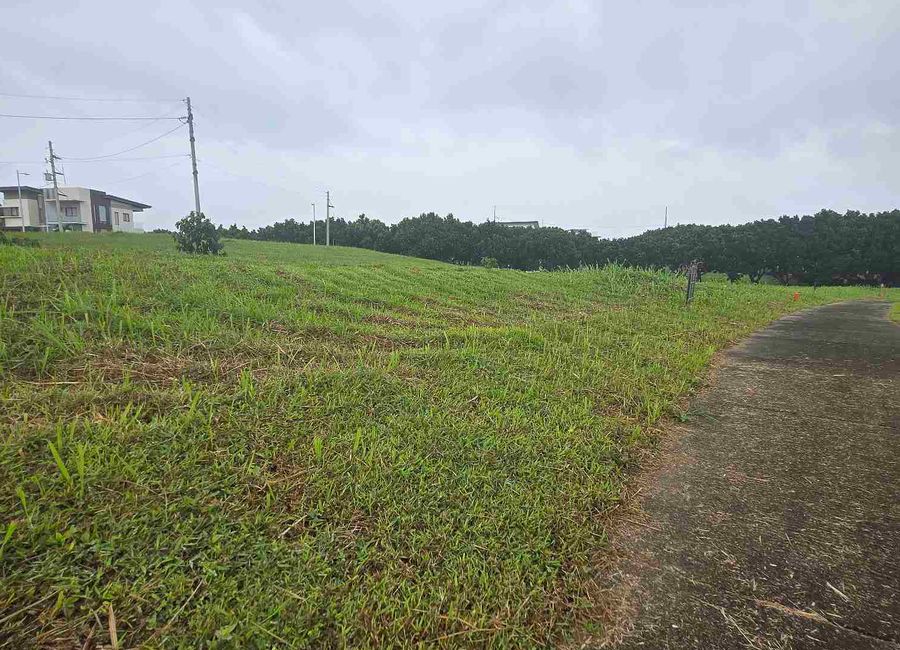 Venare, Nuvali Single loaded lot