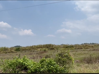 FARMLOT FOR SALE  IN TARLAC