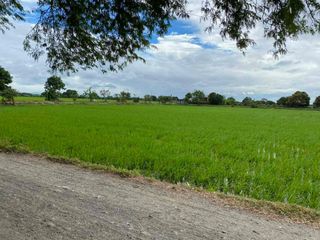 FOR SALE - Lot in Bustos, Bulacan