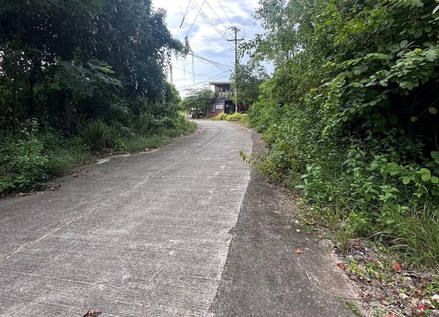379 sqm LOT FOR SALE — IN FRONT OF THE PROPOSED SM TAGBILARAN CITY!