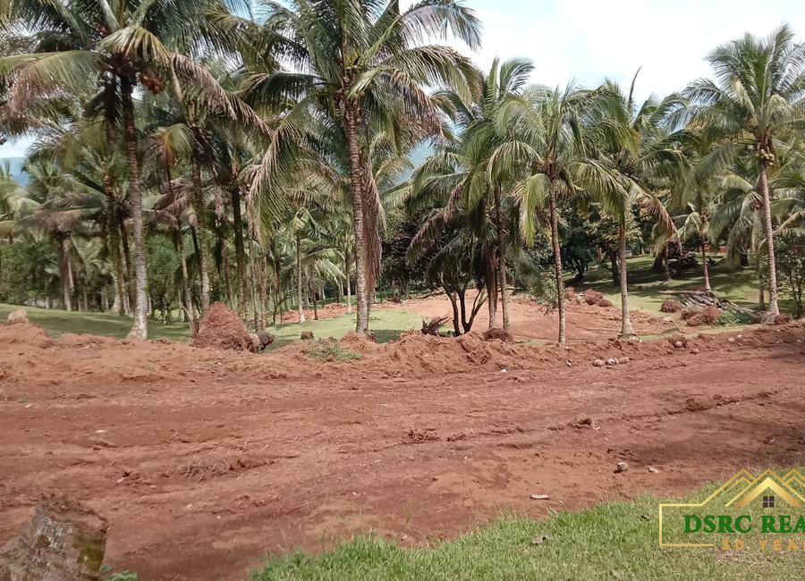 PRIME RESIDENTIAL LOTS FOR SALE IN BIRMINGHAM HEIGHTS TANAY RIZAL