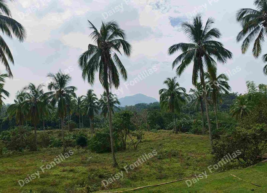 150 sqm lot in Magallanes Cavite