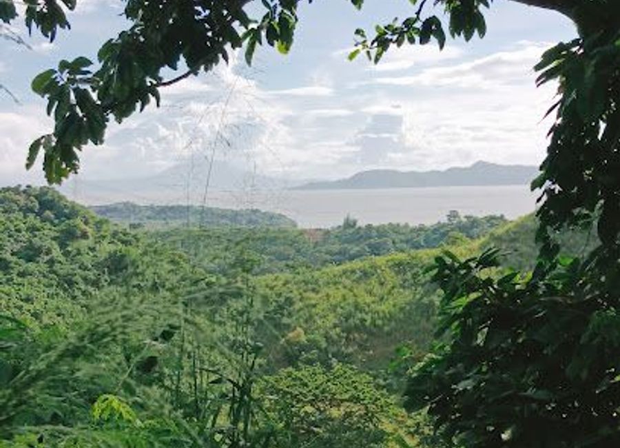 FARM RESIDENTIAL LOTS