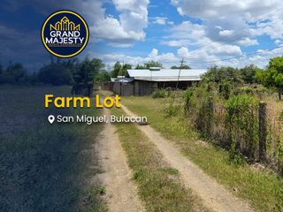 For Sale: Income-Generating Agricultural Farm Lot with Poultry & Mango Trees | San Miguel, Bulacan