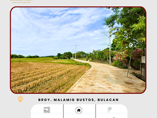 For Sale: Farm Lot located at Brgy. Malamig Bustos Bulacan