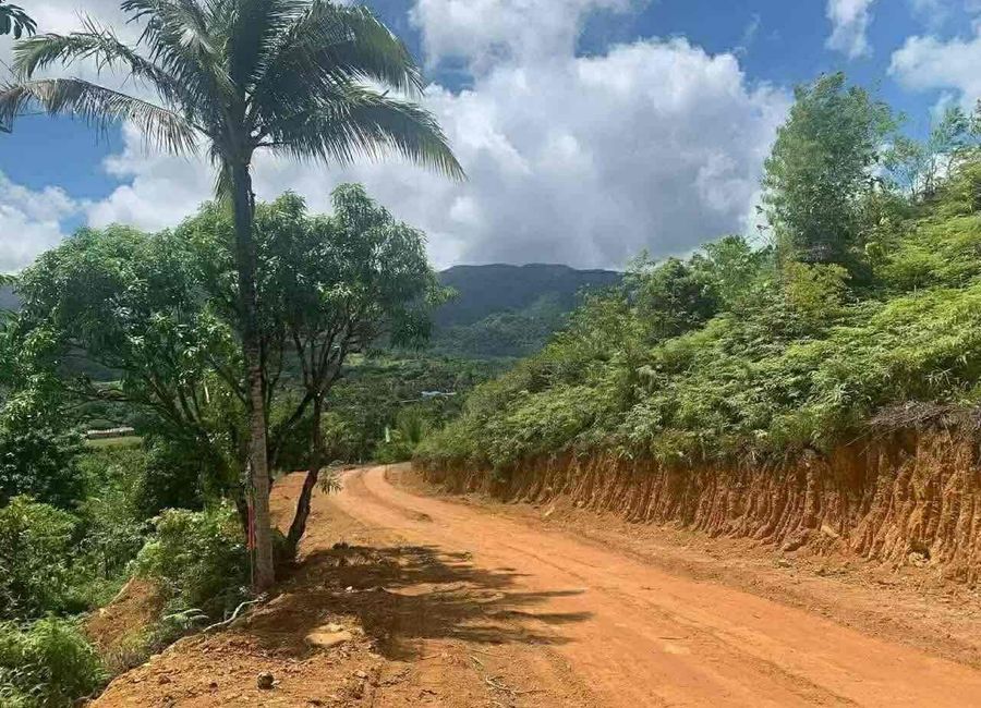 PRIME RESIDENTIAL LOTS FOR SALE IN MADILAY DILAY TANAY RIZAL