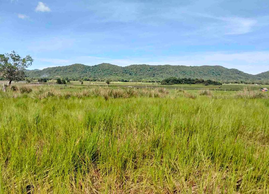 For Sale Near Busuanga International Airport