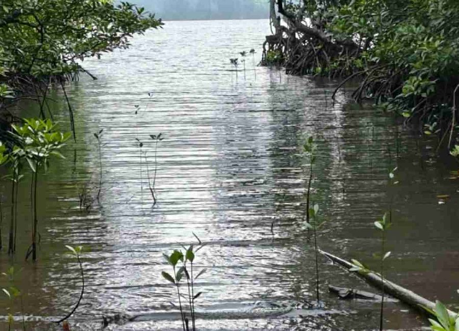 Sea Side with Overlooking