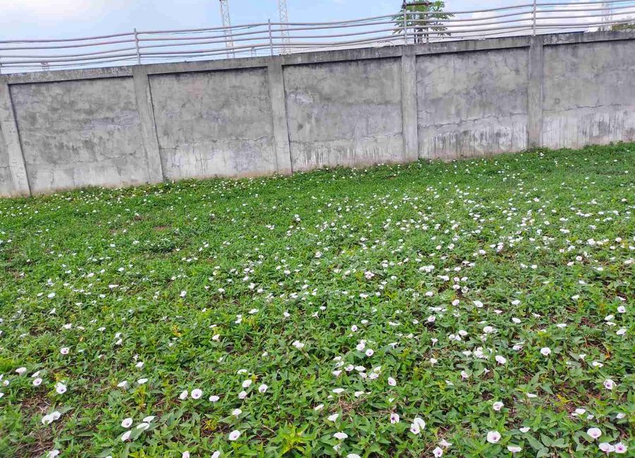 Rus sale residential lot Aguado Trece Martires Cavite