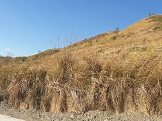 Lot Only cemented road mostly flat lands for Sale in Nueva Ecija