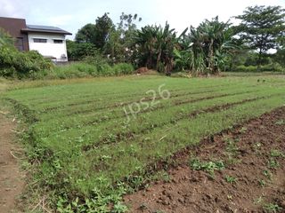 480 m2 lot in Springville Heights, Molino 7, Bacoor City