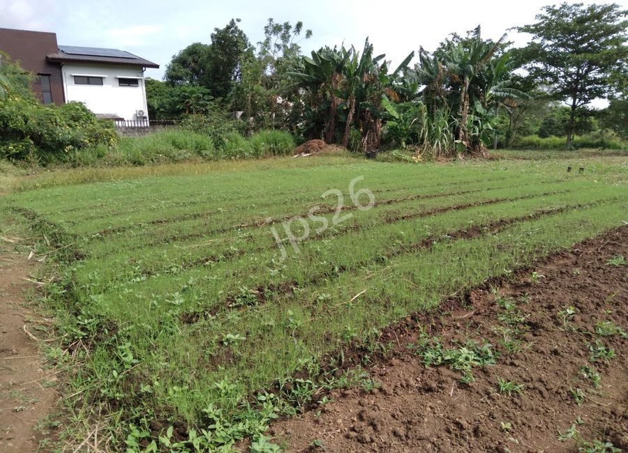 480 m2 lot in Springville Heights, Molino 7, Bacoor City