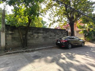 779 sqm Lot for Sale in BF Homes Paranaque City