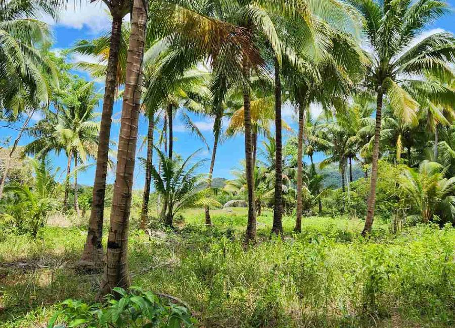 Lots Near the Busuanga Airport
