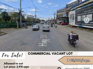 For Sale: Corner Commercial Vacant Lot located along Highway 2000 Taytay, Rizal - In Front of La Suerte Taytay Textile Market