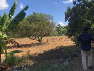 Farmlot for sale Quezon Province