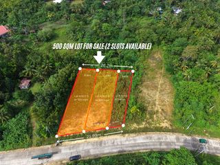 Lot for Sale - 500 sqm Along Highway - San Isidro, Tagbilaran City, Bohol