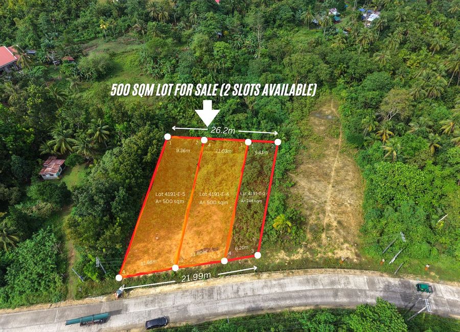 500 sqm Lot For Sale- San Isidro, Tagbilaran City