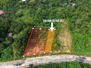 Lot for Sale - 248 sqm Along Highway - San Isidro, Tagbilaran City, Bohol