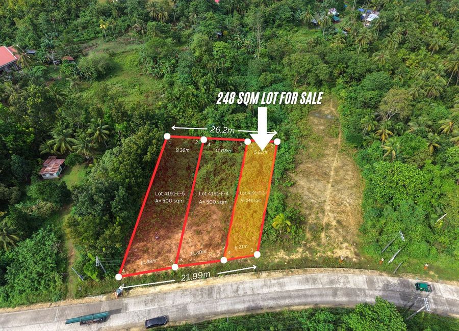 248 sqm Lot For Sale- San Isidro, Tagbilaran City