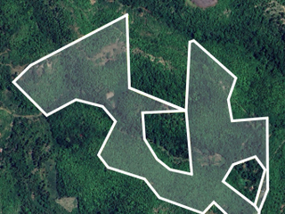 LOT FOR SALE IN TUBOD, TOLEDO, CEBU - LA 175, 932 SQM