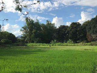 Agricultural Lot for Sale in Telapayong Arayat Pampanga