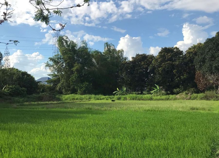Agricultural Lot for Sale in Telapayong Arayat Pampanga