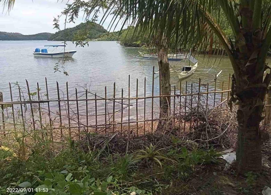 Beachfront with Overlooking Property Coron Palawan