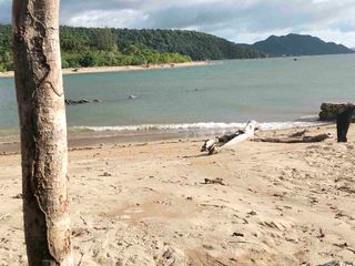 Beachfront Busuanga Palawan