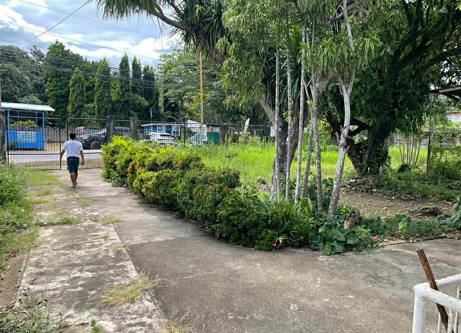 Clean-Titled Residential Lot for Sale – Tubod, Minglanilla Cebu | 1,177 sqm | w/ Free House