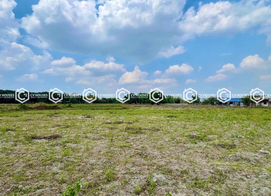 2.12-Hectare Agricultural Lot in Brgy. Maliwalu, Bacolor, Pampanga - Accessible Location