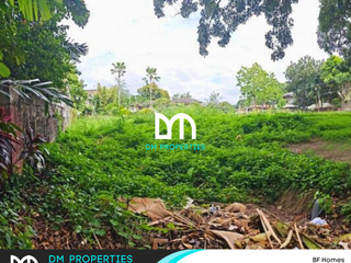 For Sale: Corner Vacant Lot in BF Homes, Quezon City