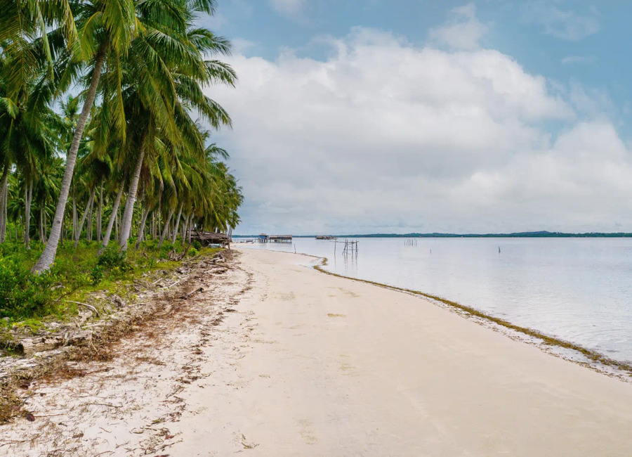 158 sqm Commercial Beachfront Lot | Silom, Catagupan, Balabac | ₱2.81M