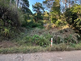 Montecello , Camp 7 ,Baguio City lot for sale