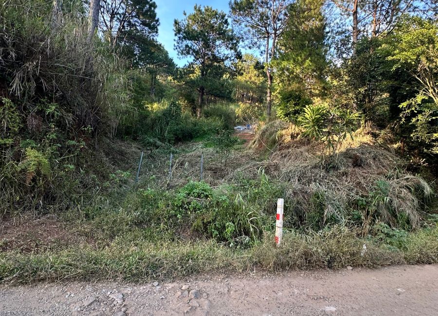 Montecello , Camp 7 ,Baguio City lot for sale