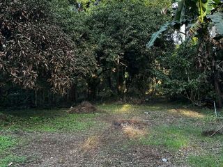 Farm Residential lot for Sale in Indang Cavite along National Road