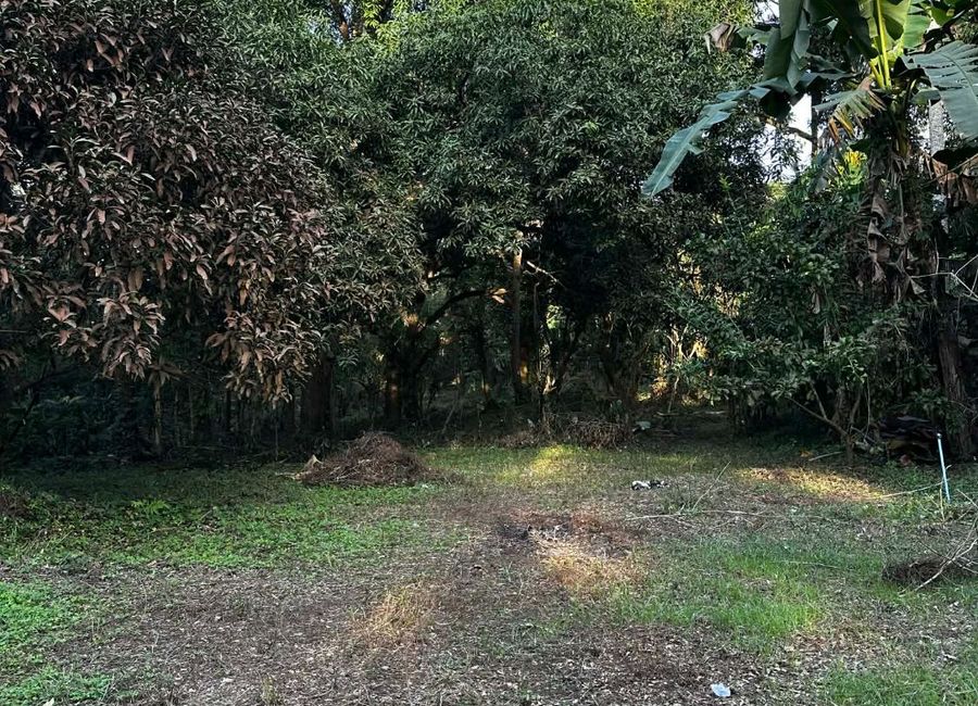 Farm Residential lot for Sale in Indang Cavite along National Road