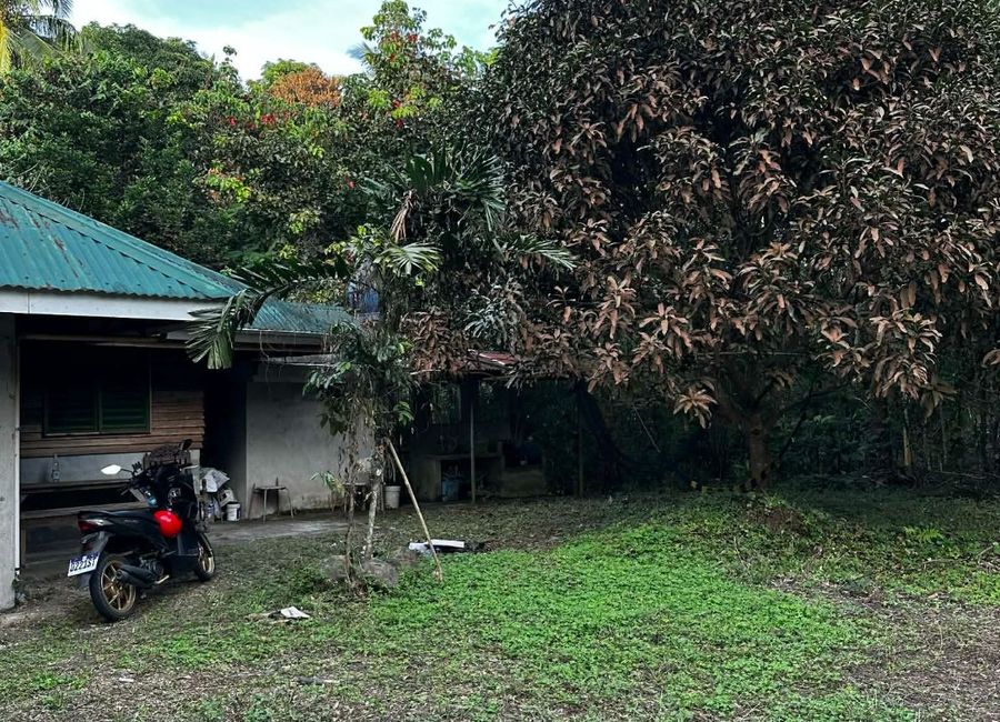 For Sale Farm Residential in Indang Cavite Along National Road